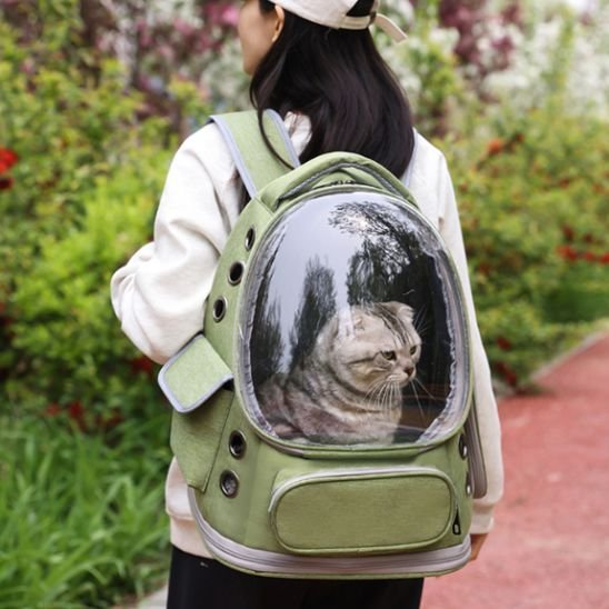 Sac à dos chat | Bulle Panoramique