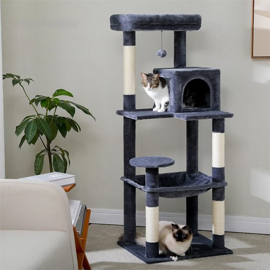 Arbre à chat | Design Multi-Niveaux