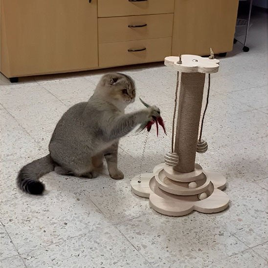 Arbre à chat en bois | Élégance Féline